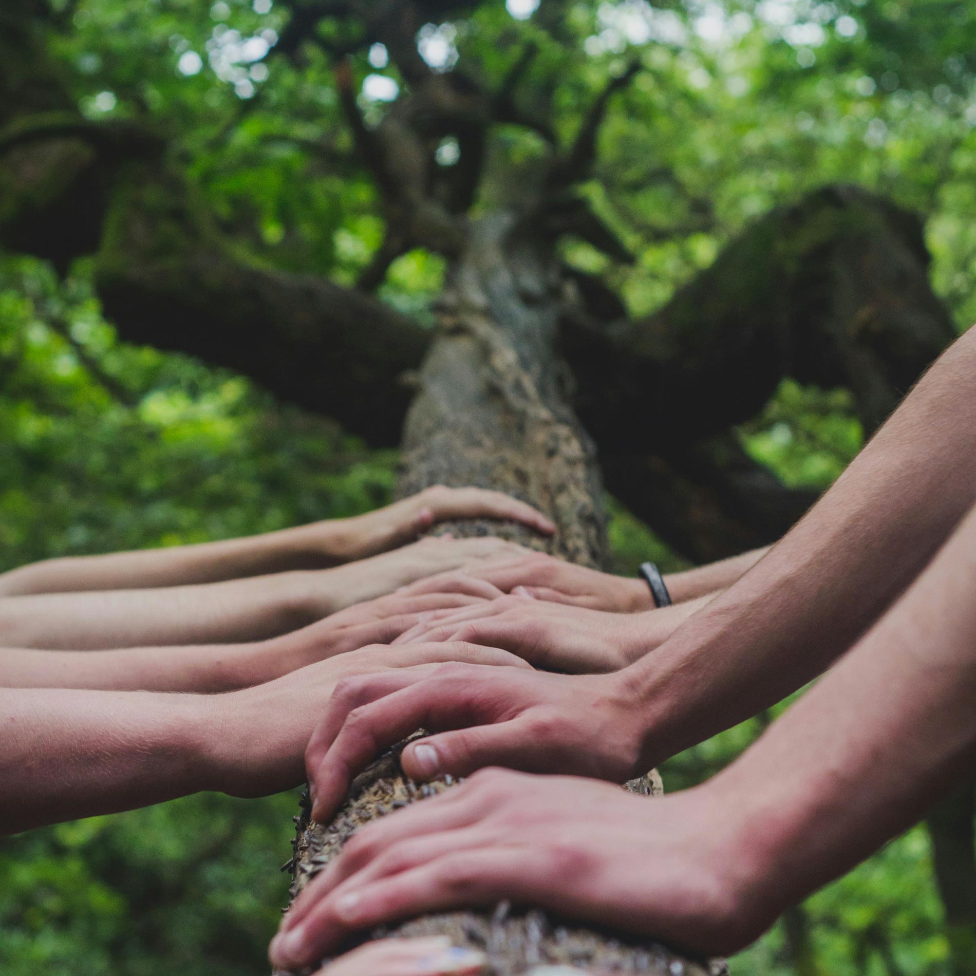 Sosyal Sorumluluk Projeleri